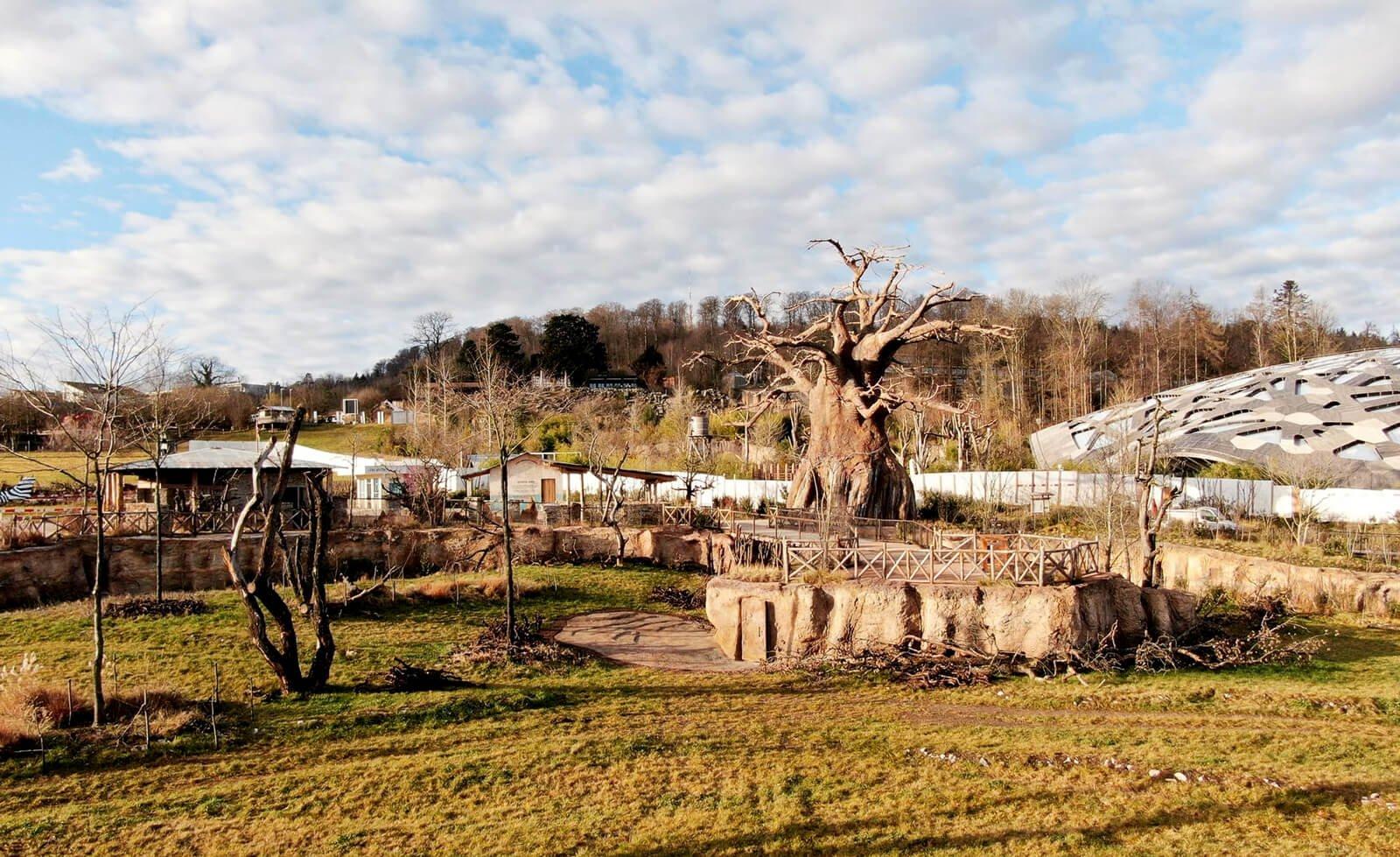 레와 사바나 전망대