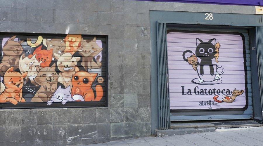 😻 고양이 도서관(라 가토테카)