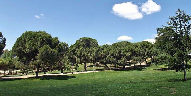 🌳 산 이시드로 공원(파르케 데 산 이시드로)