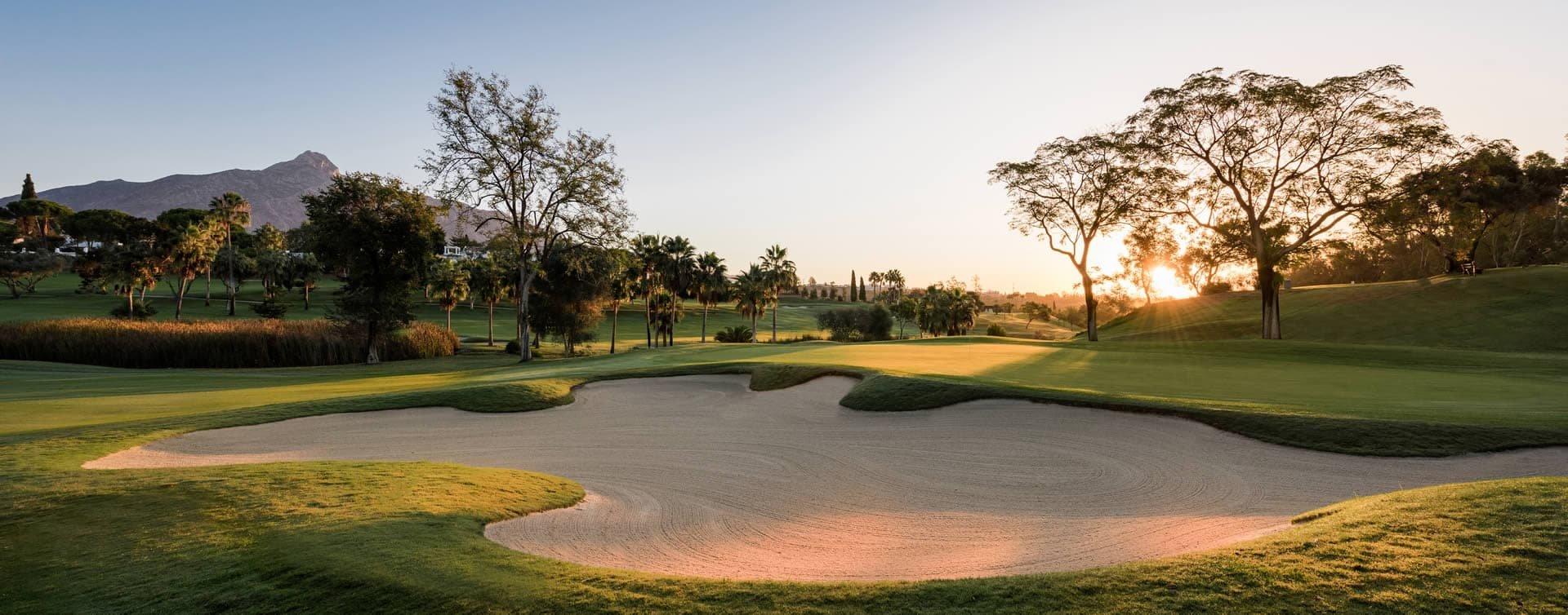 ⛳ 알로하 골프 클럽 (Aloha Golf Club)