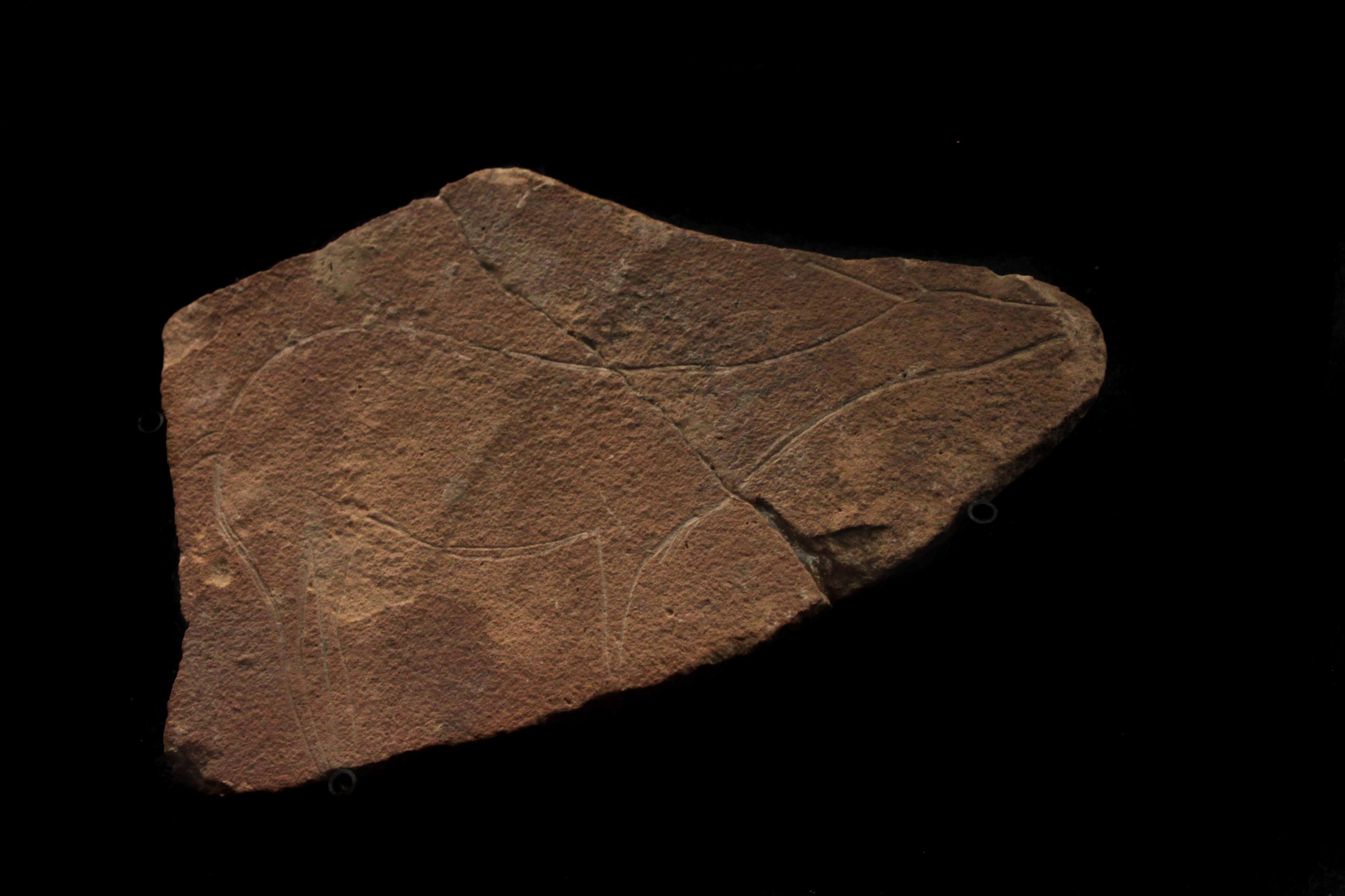 🗿 파르파요 동굴 (쿠에바 델 파르파요)