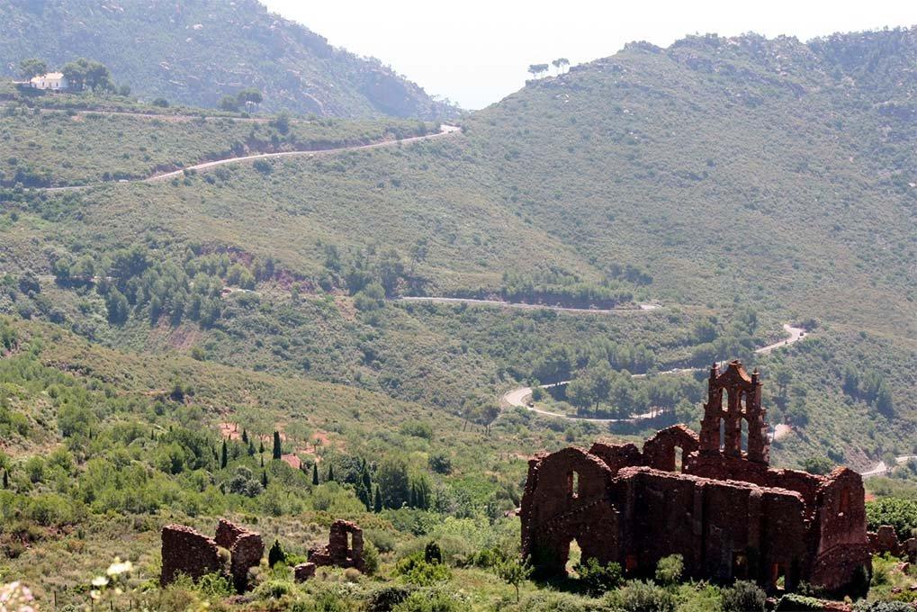 🏞️ 팔마스 사막(데시에르토 데 레스 팔메스)