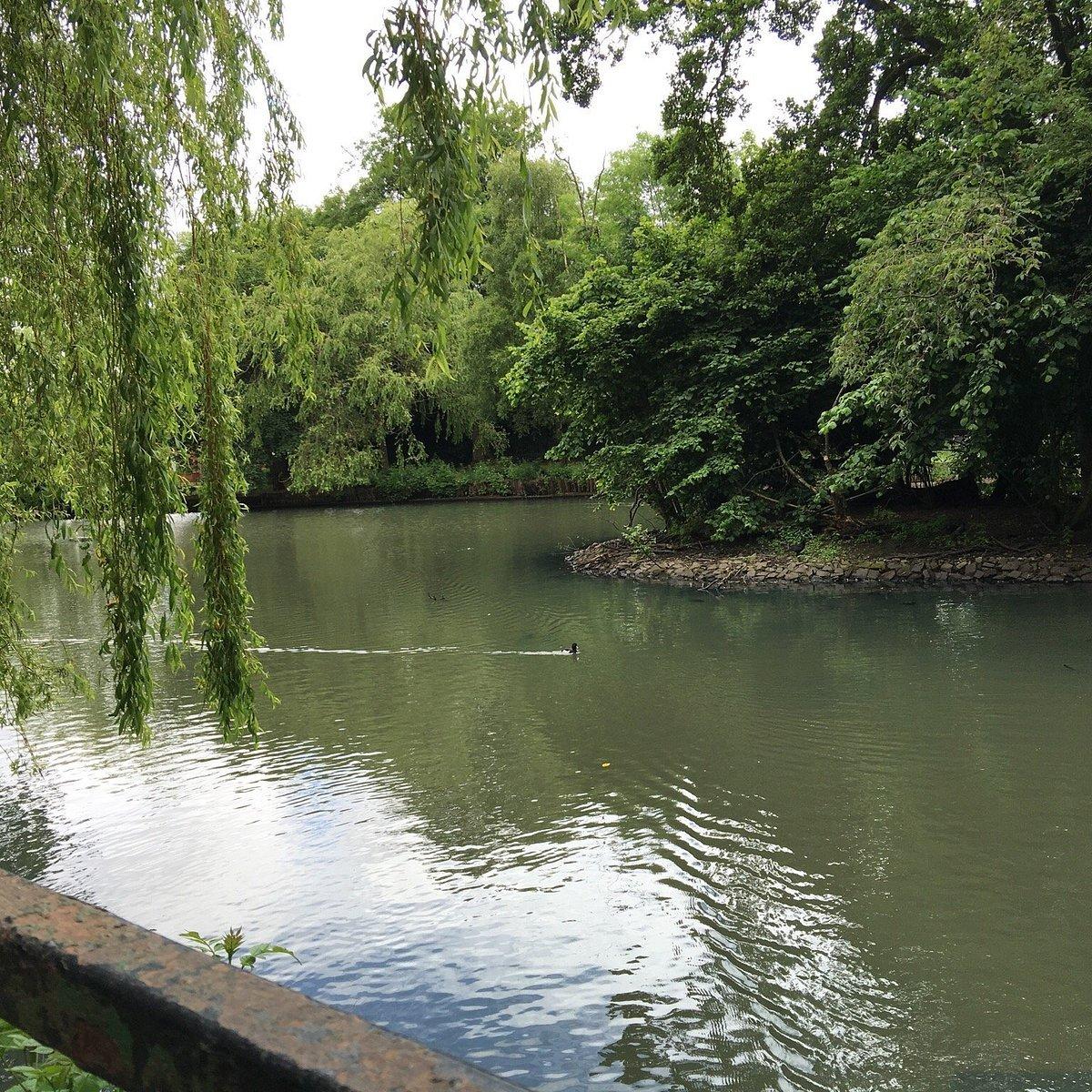 🌳 알렉산드라 공원 (Alexandra Park)