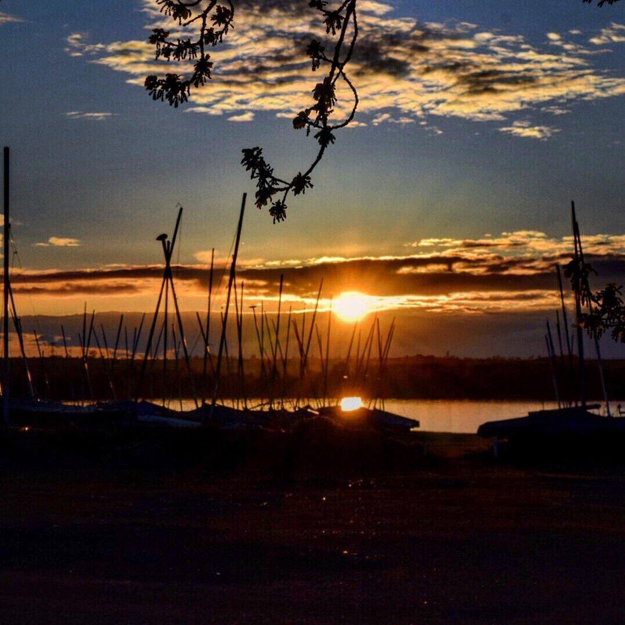 🏞️ 마스턴 습지(마스턴 마시스)