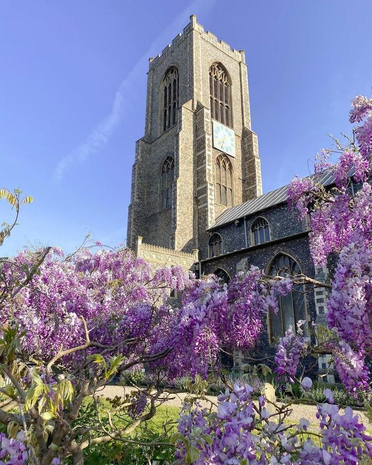 얼럼 홀(Earlham Hall)과 등나무