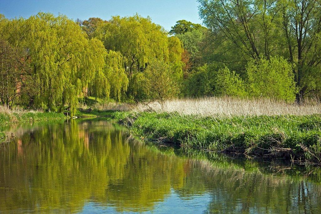 야르 강변(River Yare)