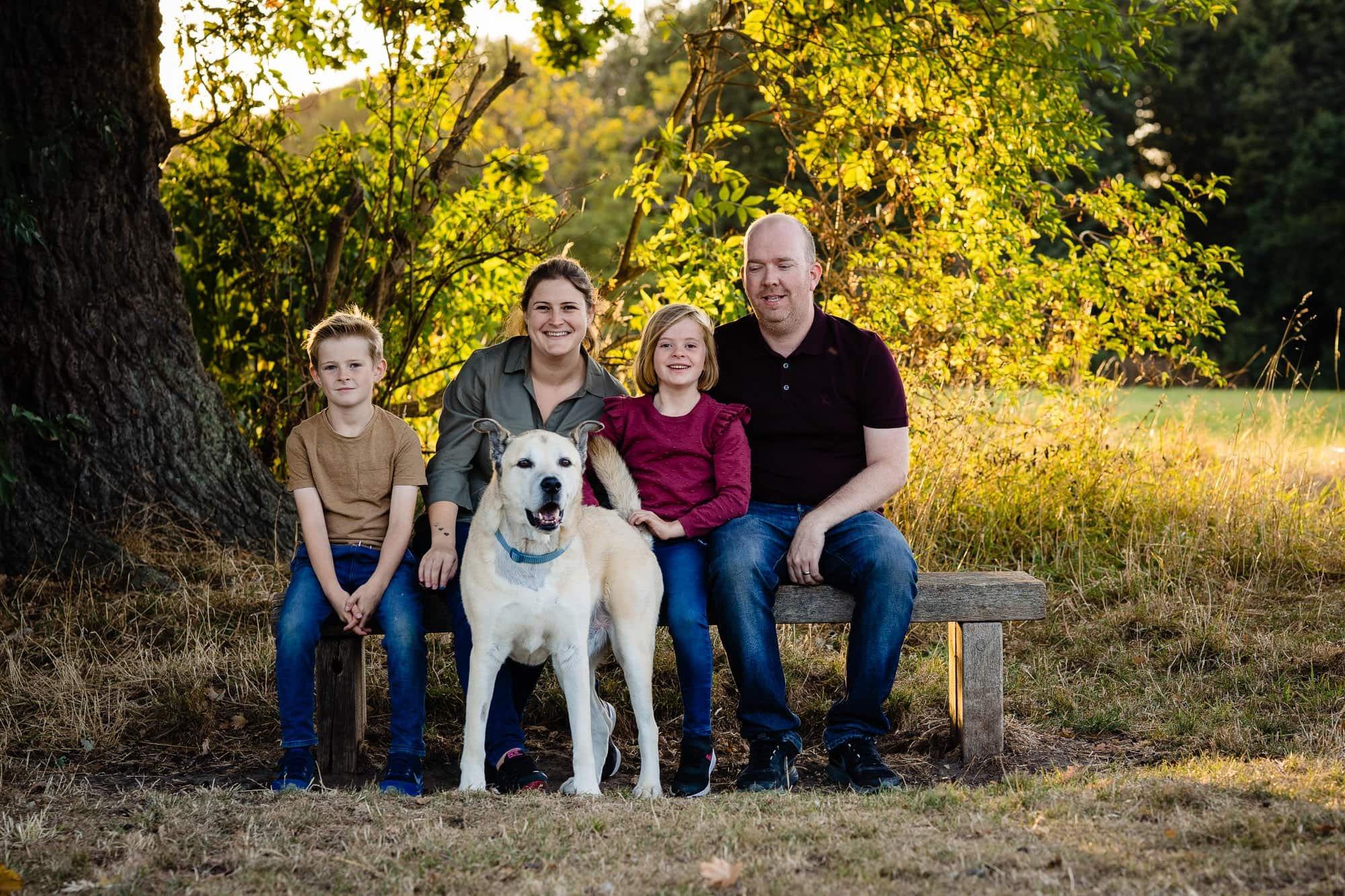 🌳 캐턴 파크 (Catton Park)