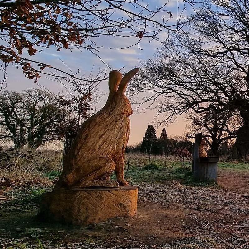 🌳 캐턴 파크 (Catton Park) 이미지 4