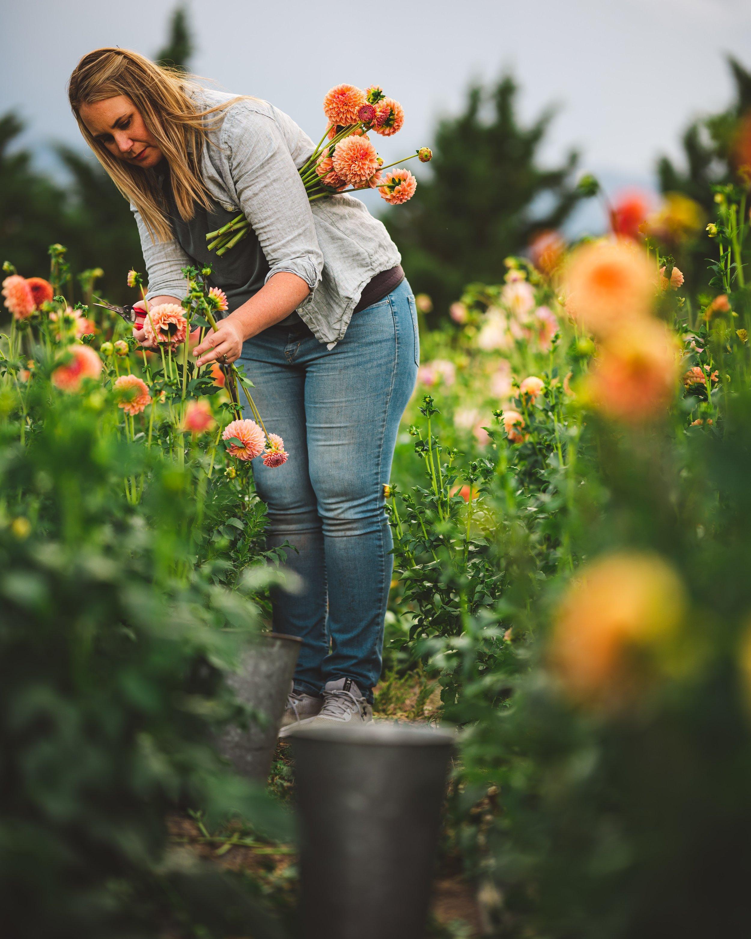 계절별 꽃밭과 독특한 벽