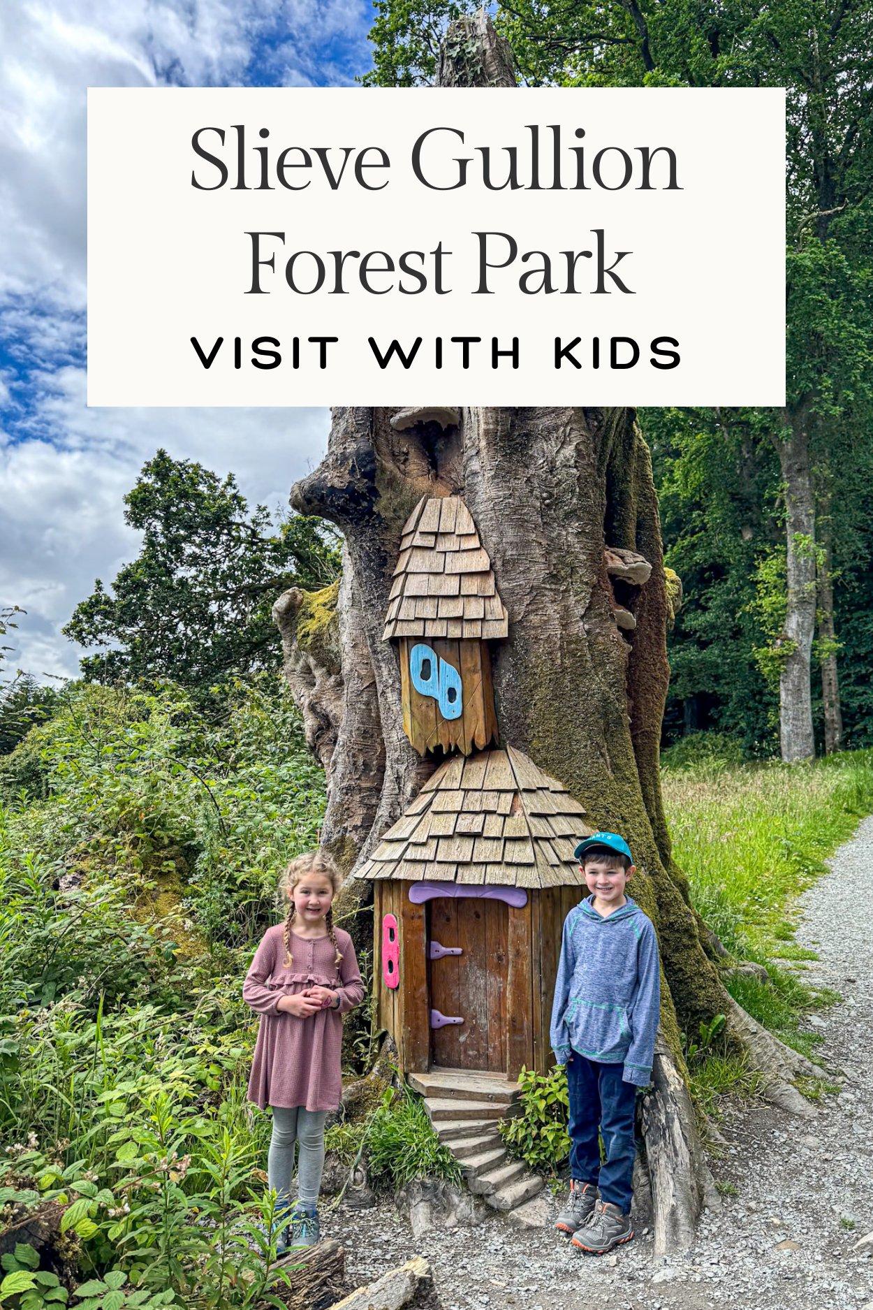 🏞️ 슬리브 걸리언 숲 공원(슬리브 걸리언 포레스트 파크)