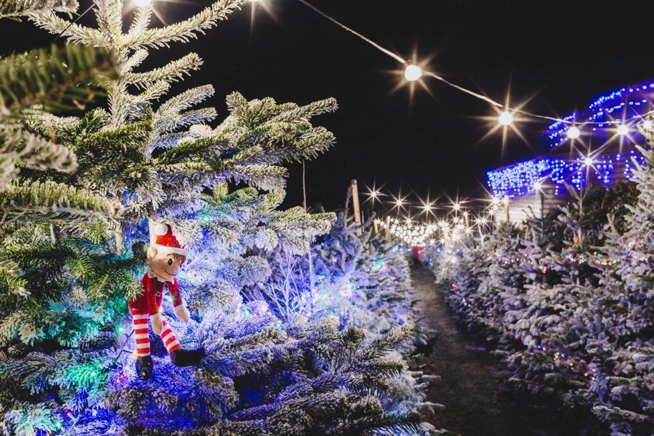 아크 오픈 팜 크리스마스 이벤트