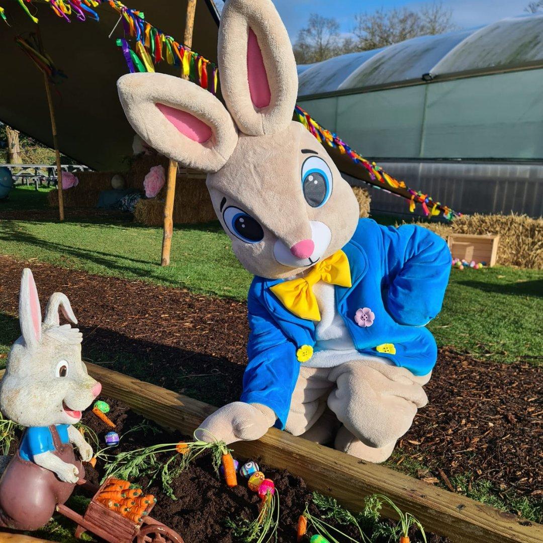 아크 오픈 팜 부활절 이벤트