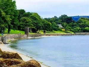 🌳 헤이즐뱅크 공원