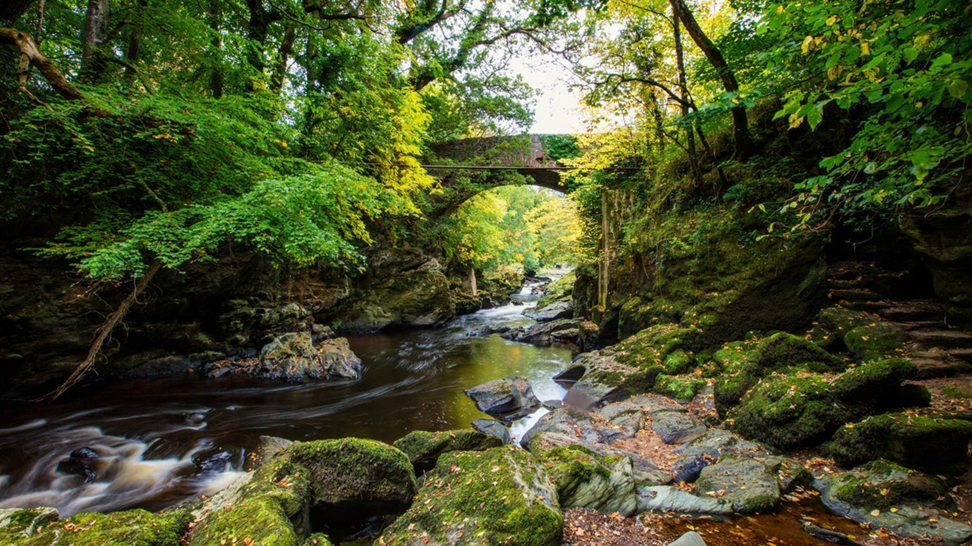 🏞️ 로 계곡 컨트리 파크 (로 밸리 컨트리 파크)