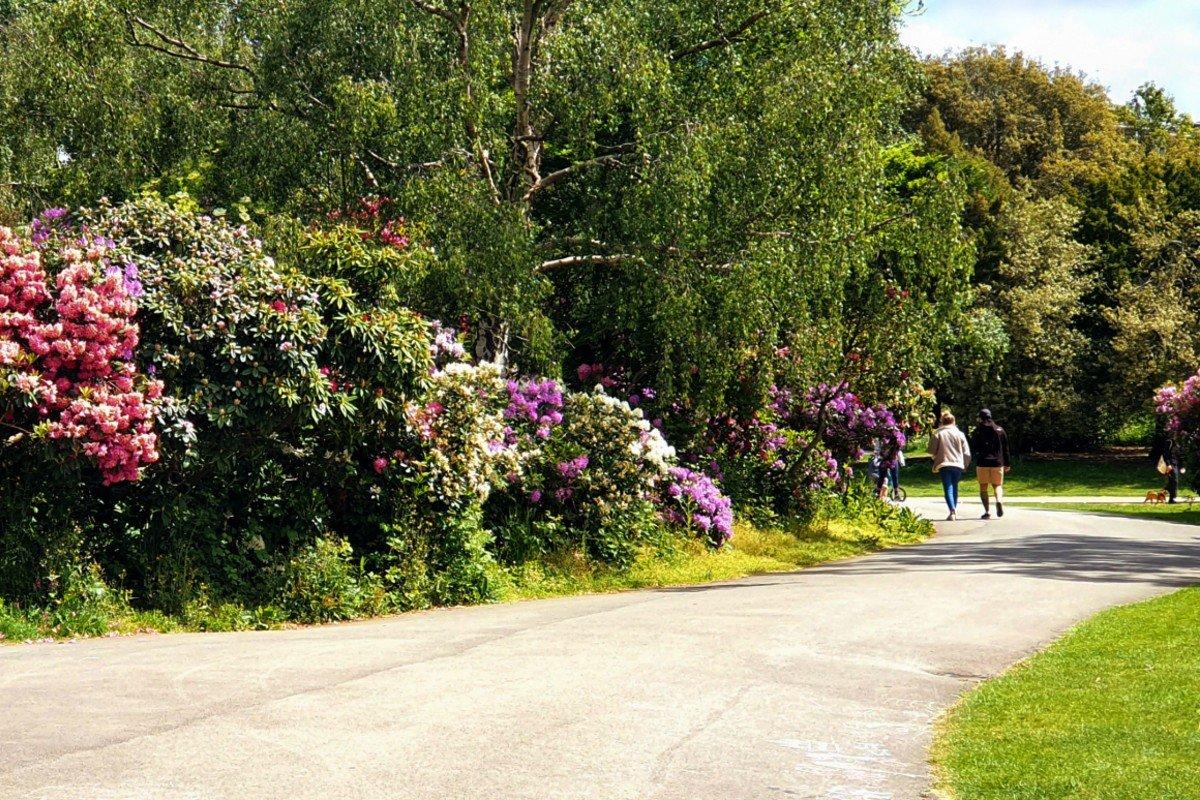 보트 호수와 주변 산책로