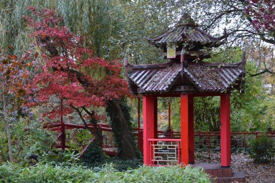 🌳 애비 공원 (Abbey Park)