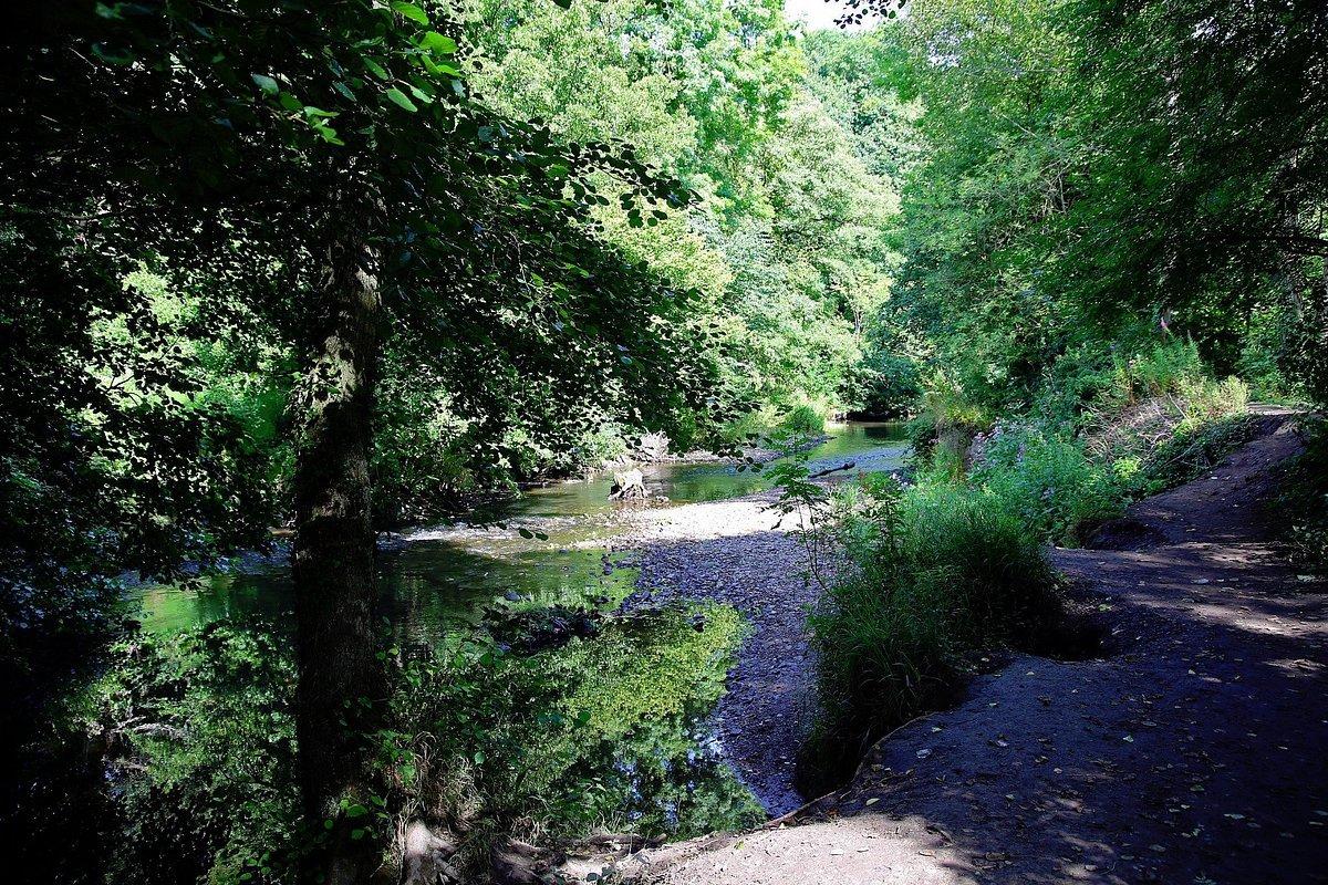 🏞️ 알린 강 수변 공원 (알린 워터스 컨트리 파크)