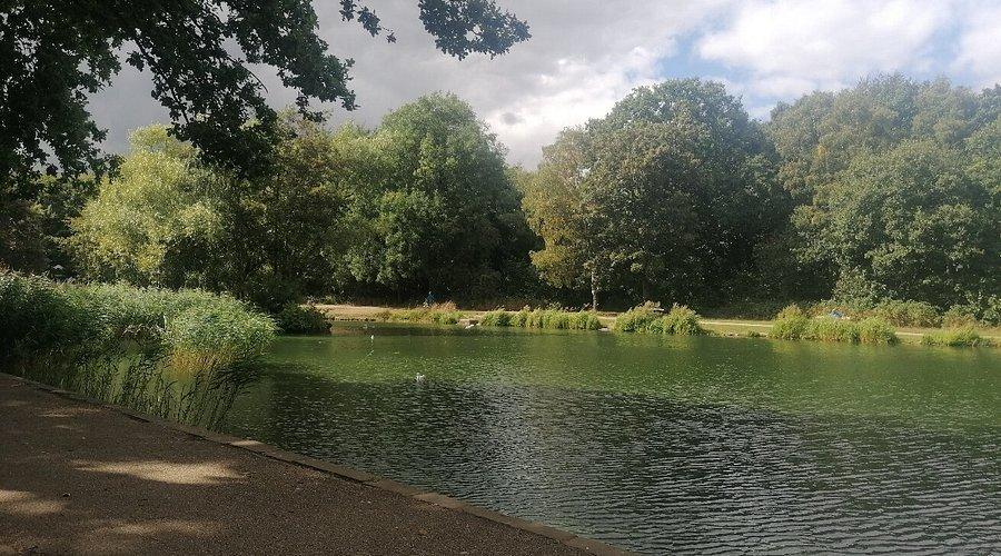 🌳 미들턴 공원(Middleton Park)