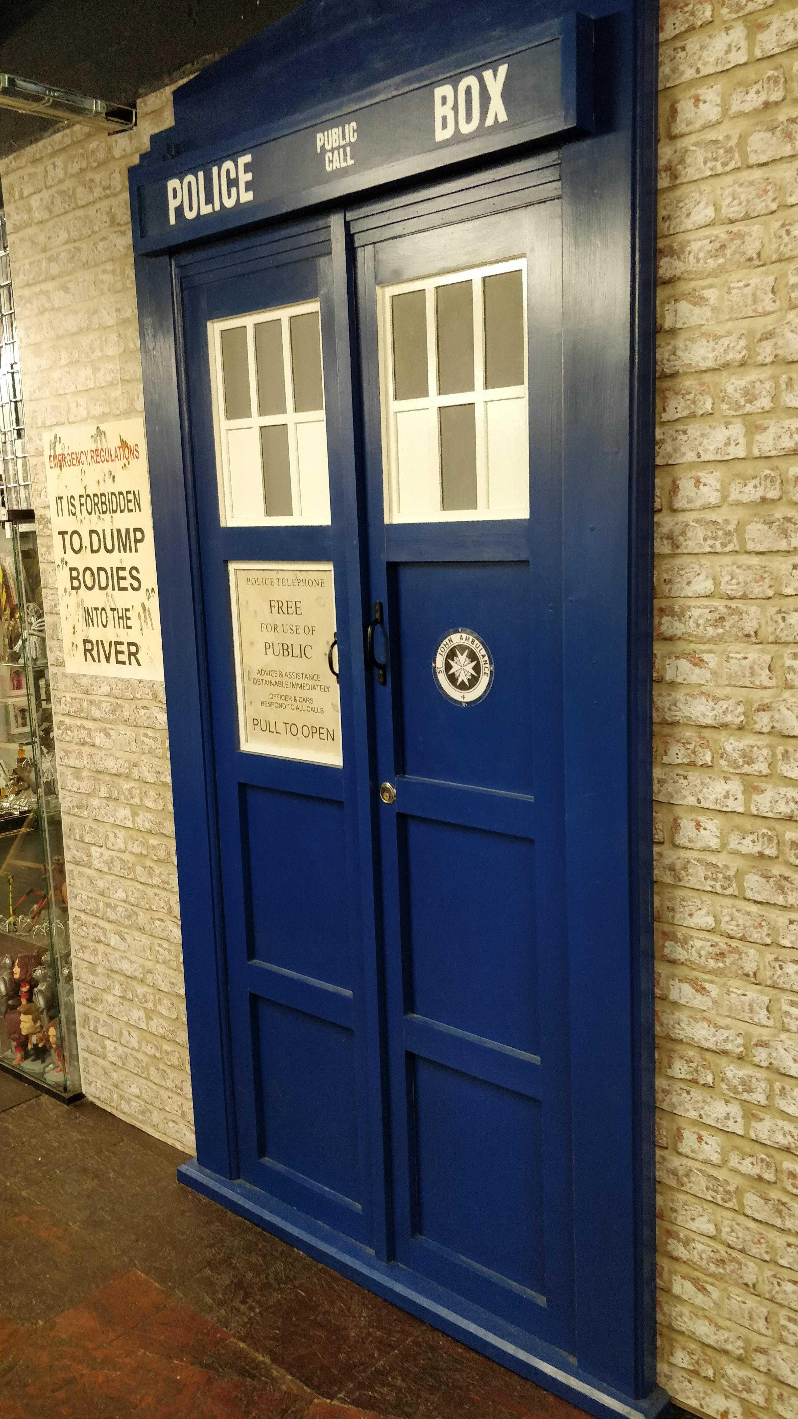 타디스 문 (TARDIS Door)