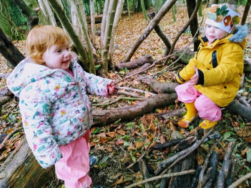 바스 스카이라인 숲 학교