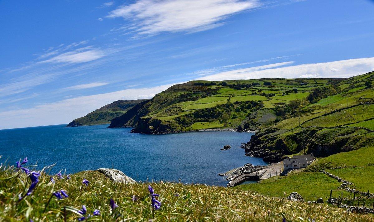 🏞️ 토어 헤드