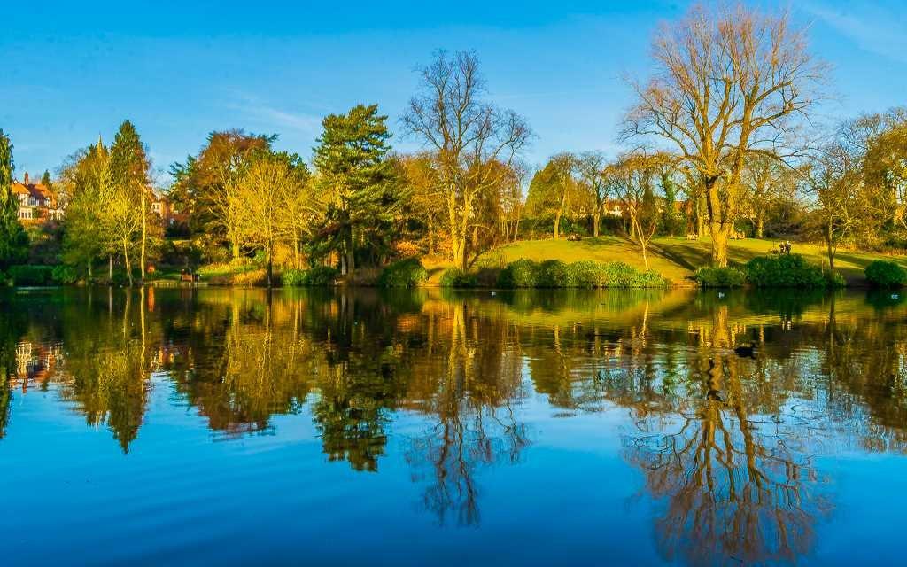 🌳 모즐리 공원 및 수영장 (모즐리 파크 앤 풀)