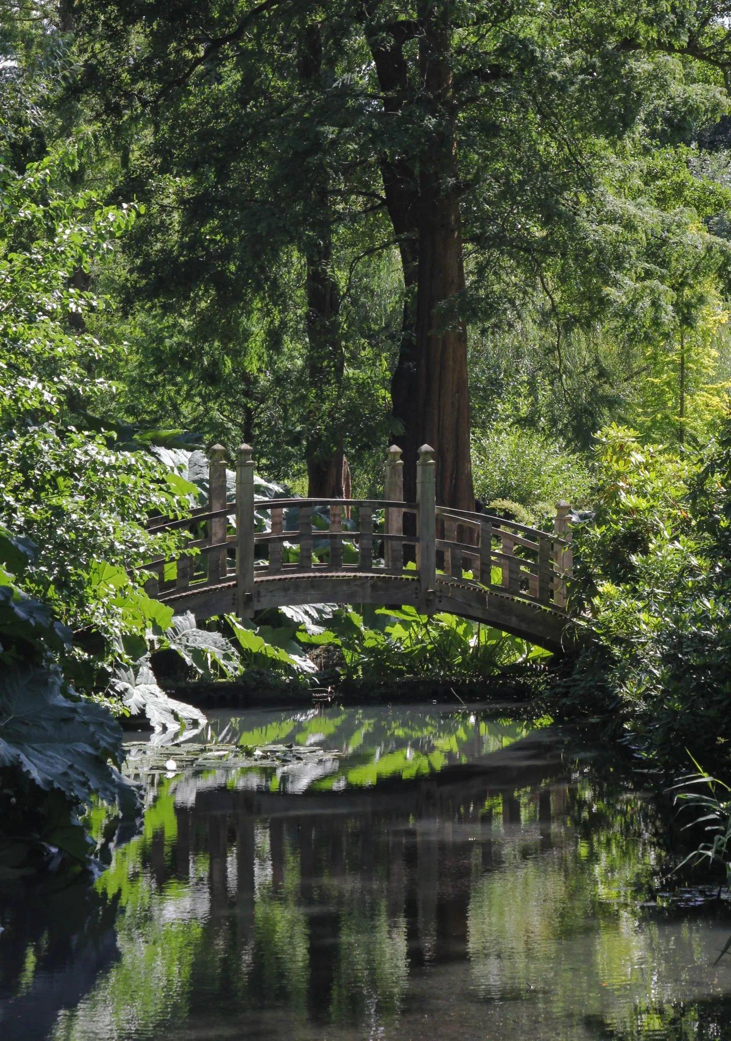 일본식 정원 (Japanese Garden)
