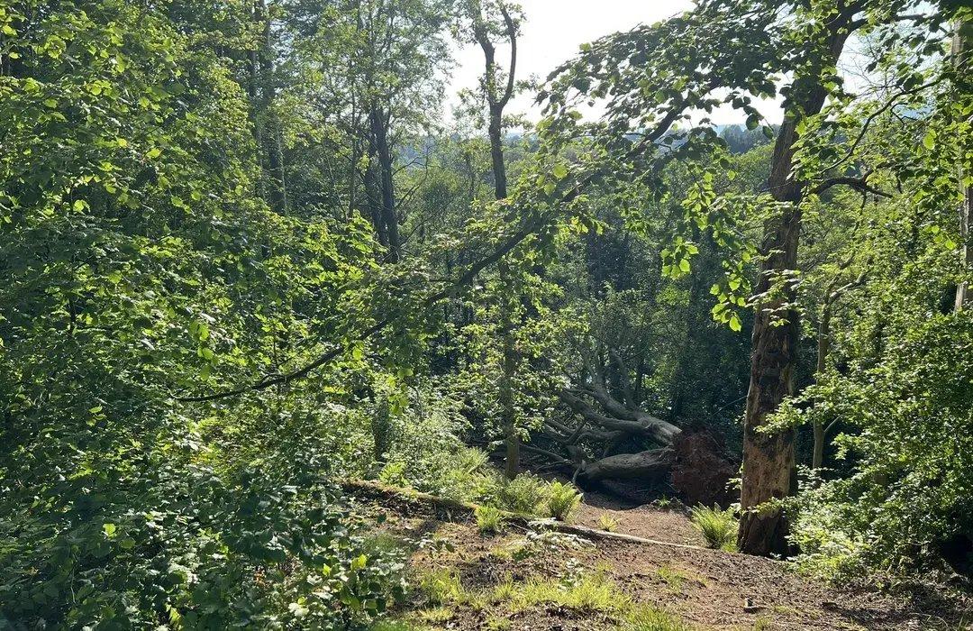 라간 강변 산책로