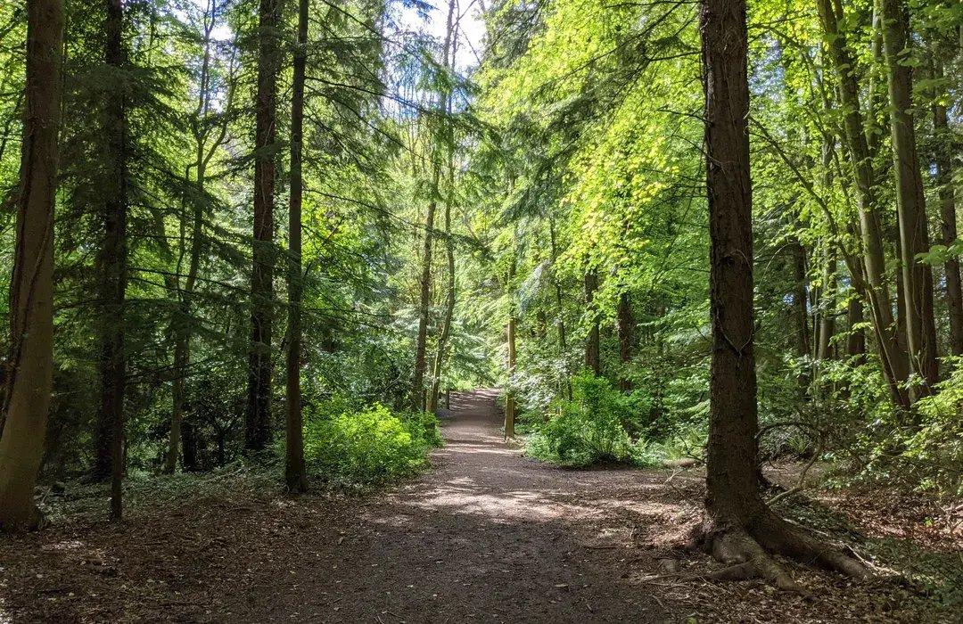 노르만 모트 유적 주변