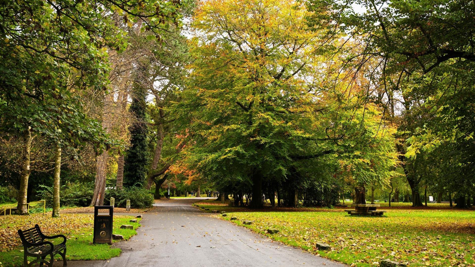 🌳 오르모 공원(Ormeau Park)