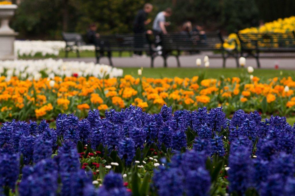 계절별 화단 및 수목