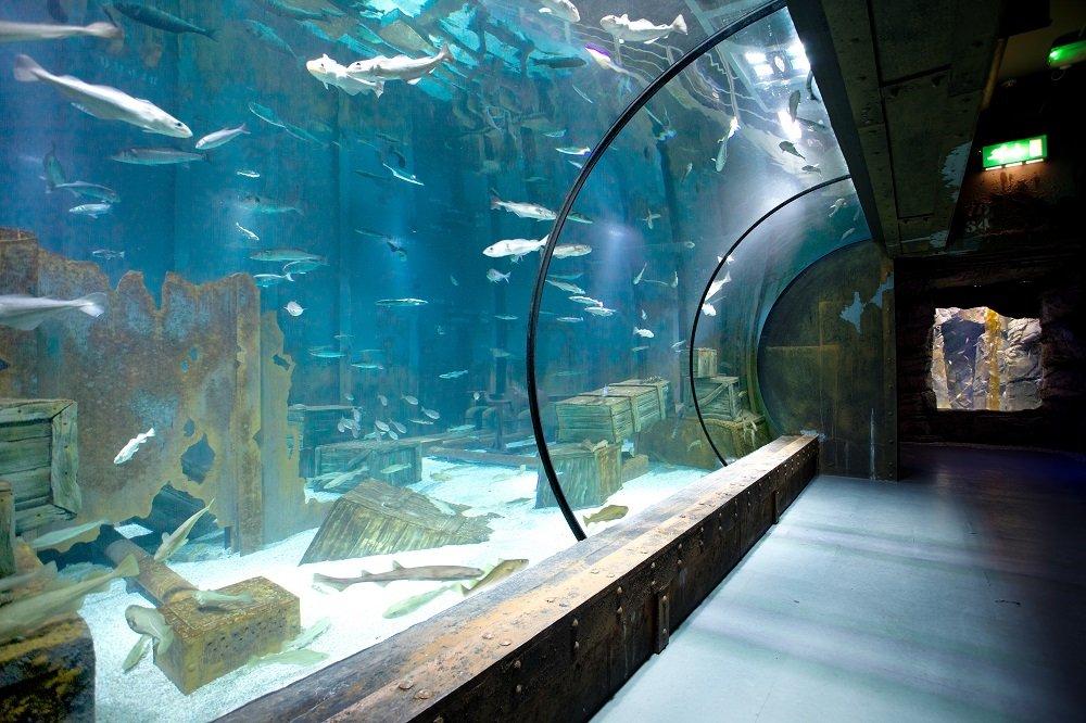 🐠 브리스톨 아쿠아리움