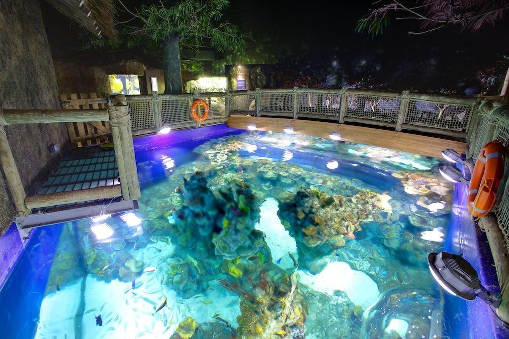 산호초 전시관 (Coral Reef Zone)