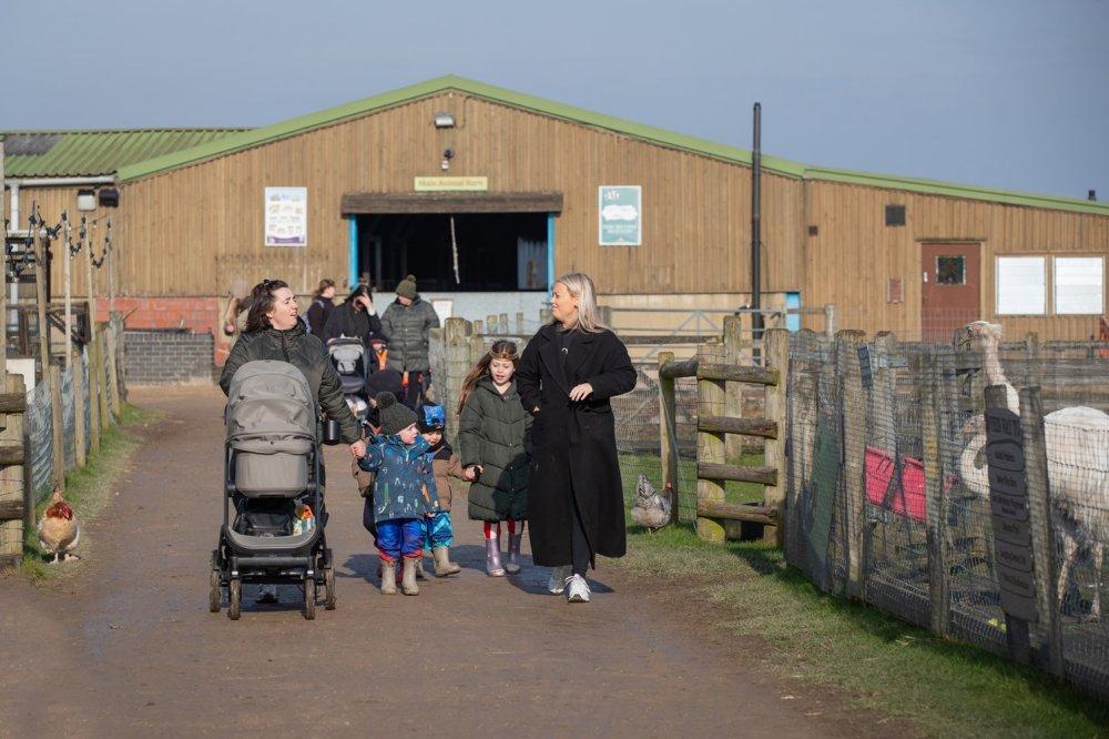 동물 먹이주기 및 교감 순간