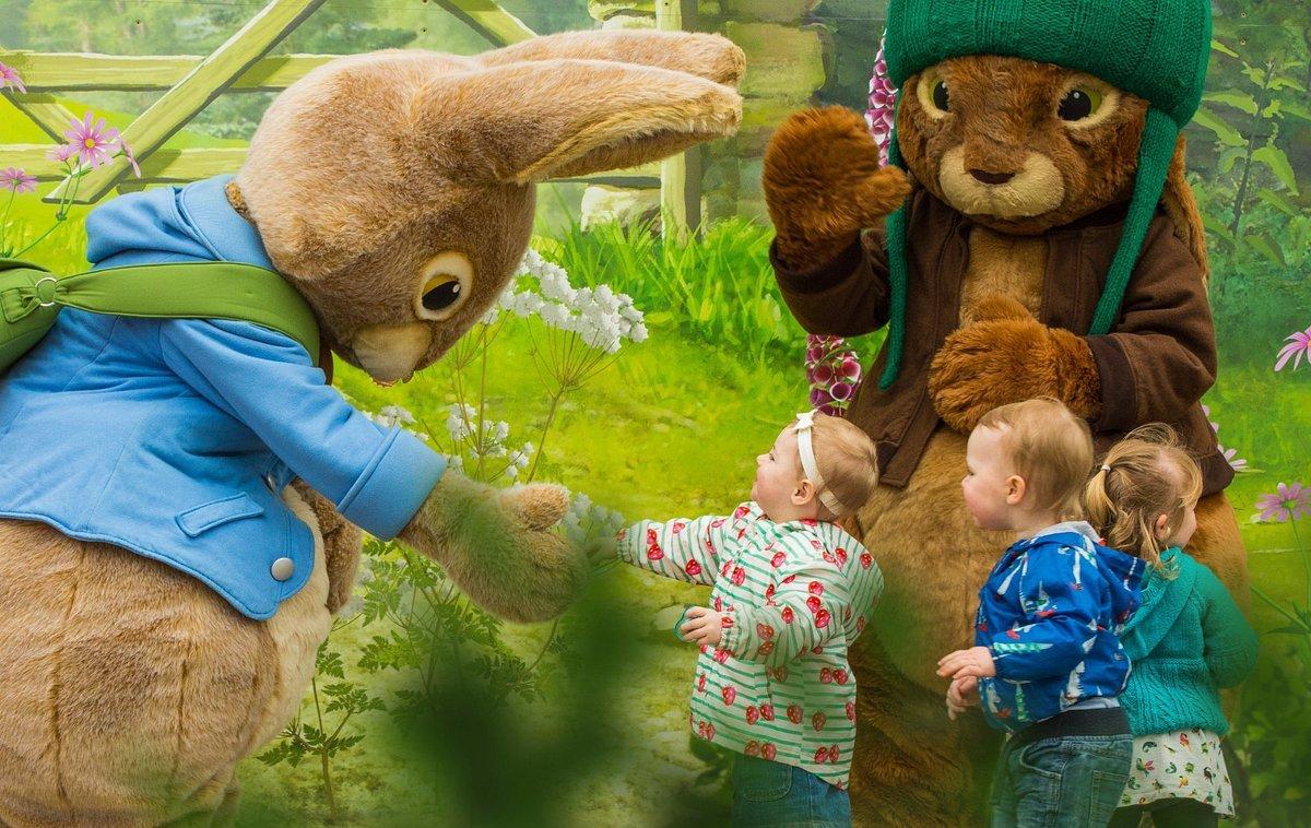 피터 래빗 캐릭터 그리팅 장소