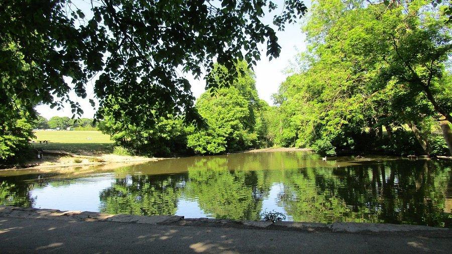 🌳 그레이브스 공원