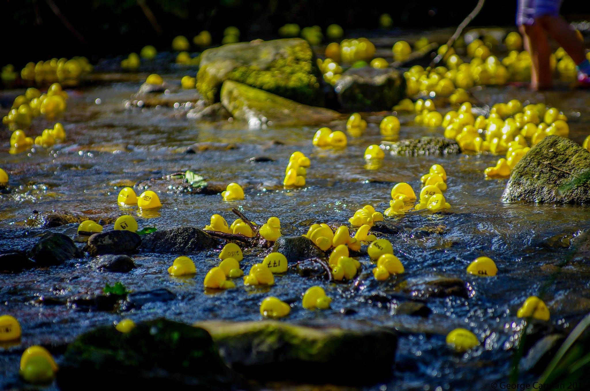 엔드클리프 공원 이스터 덕 레이스