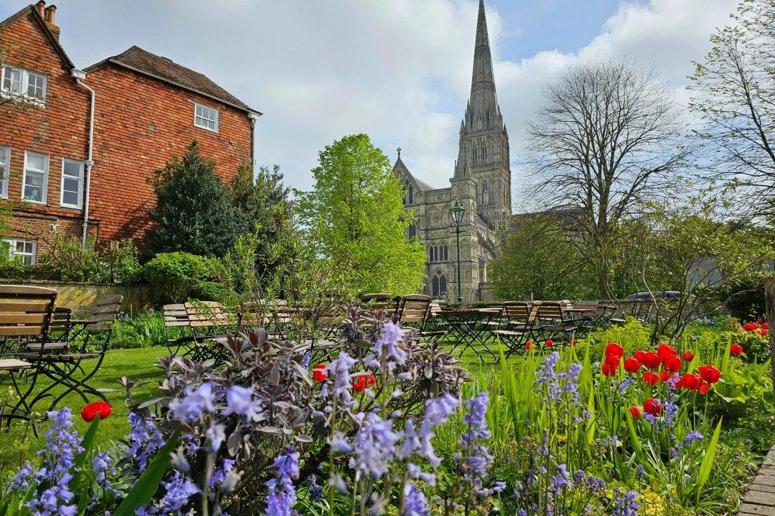 박물관 정원 (솔즈베리 대성당 배경)