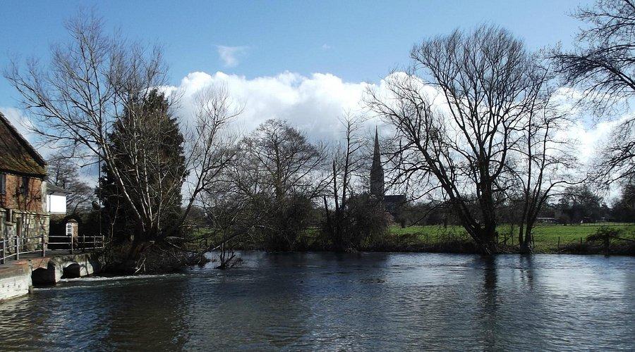 🏞️ 하넘 수변 목초지(하넘 워터 메도우즈)