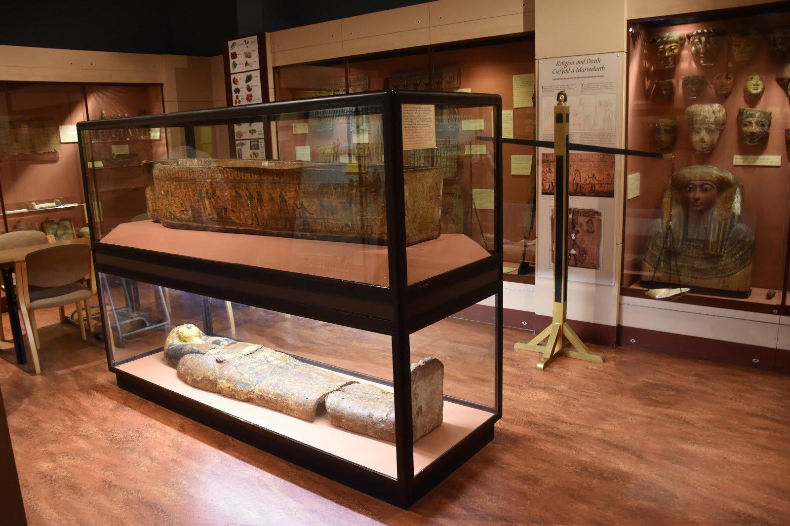 🏛️ 스완지 박물관 (Swansea Museum)