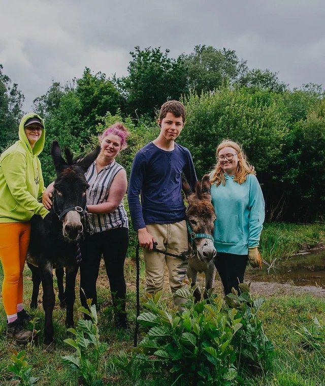 👨‍🌾 스완지 커뮤니티 팜 (Swansea Community Farm)