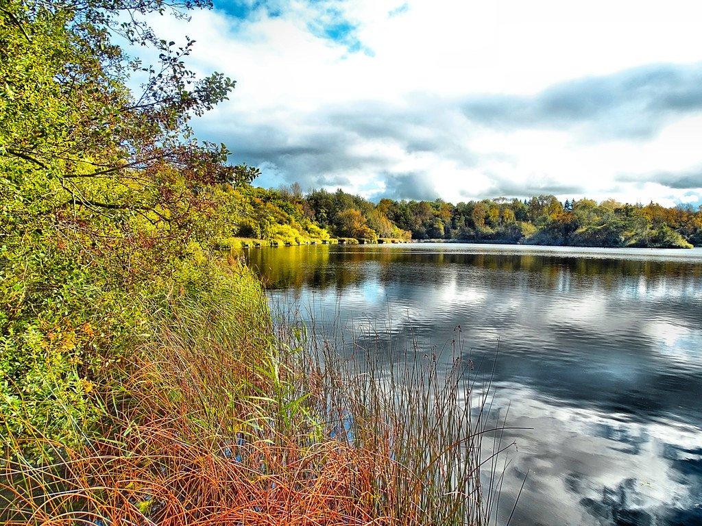 🏞️ 러프골 컨트리 파크(로크골 컨트리 파크)