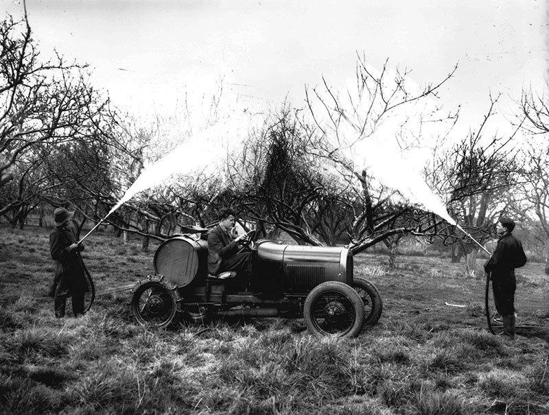 사과 과수원 (계절 한정)
