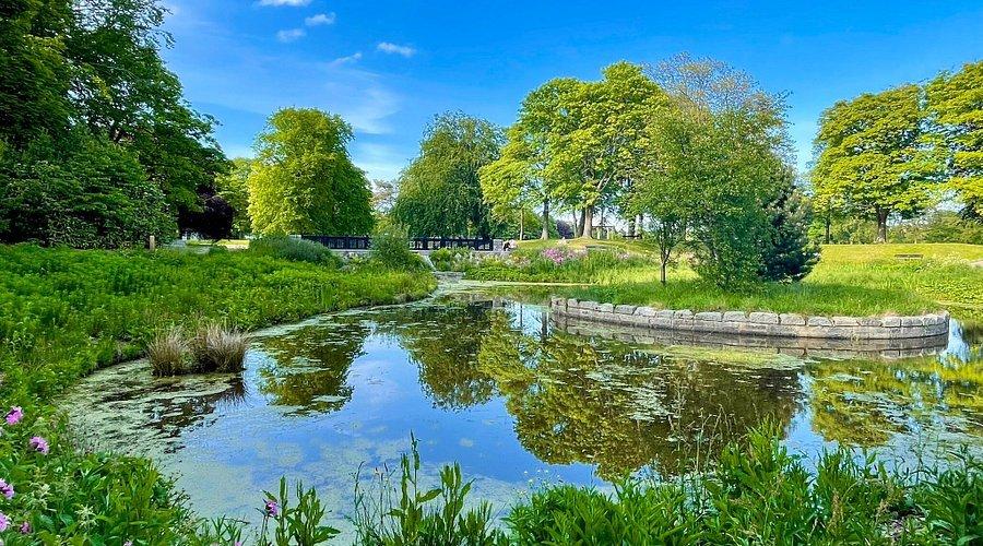 🏞️ 더시 공원 (더시 파크)