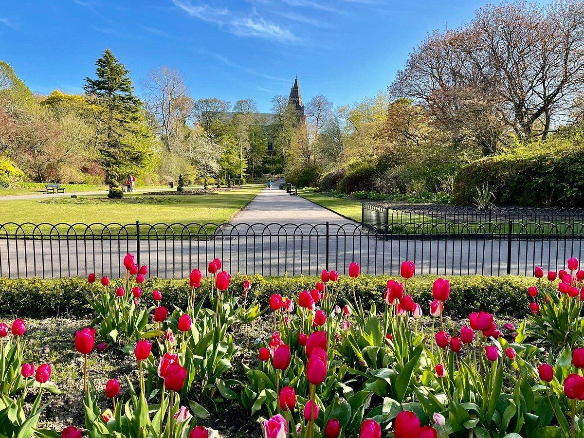 🌳 시턴 파크 (Seaton Park)