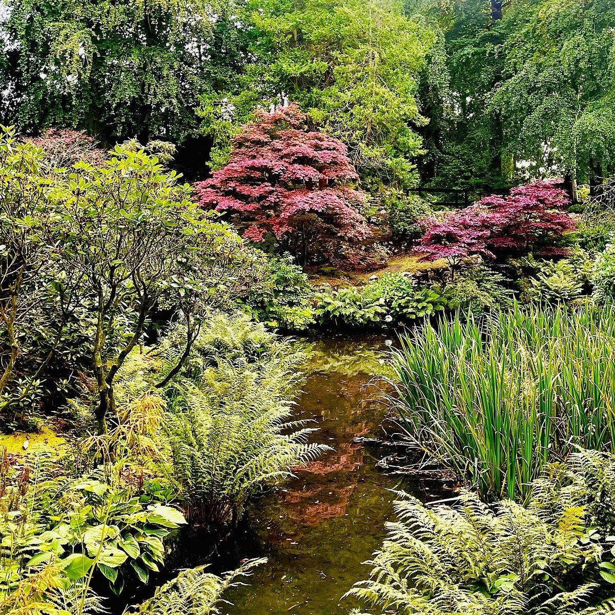 🌳 존스턴 정원 (존스턴 가든즈)