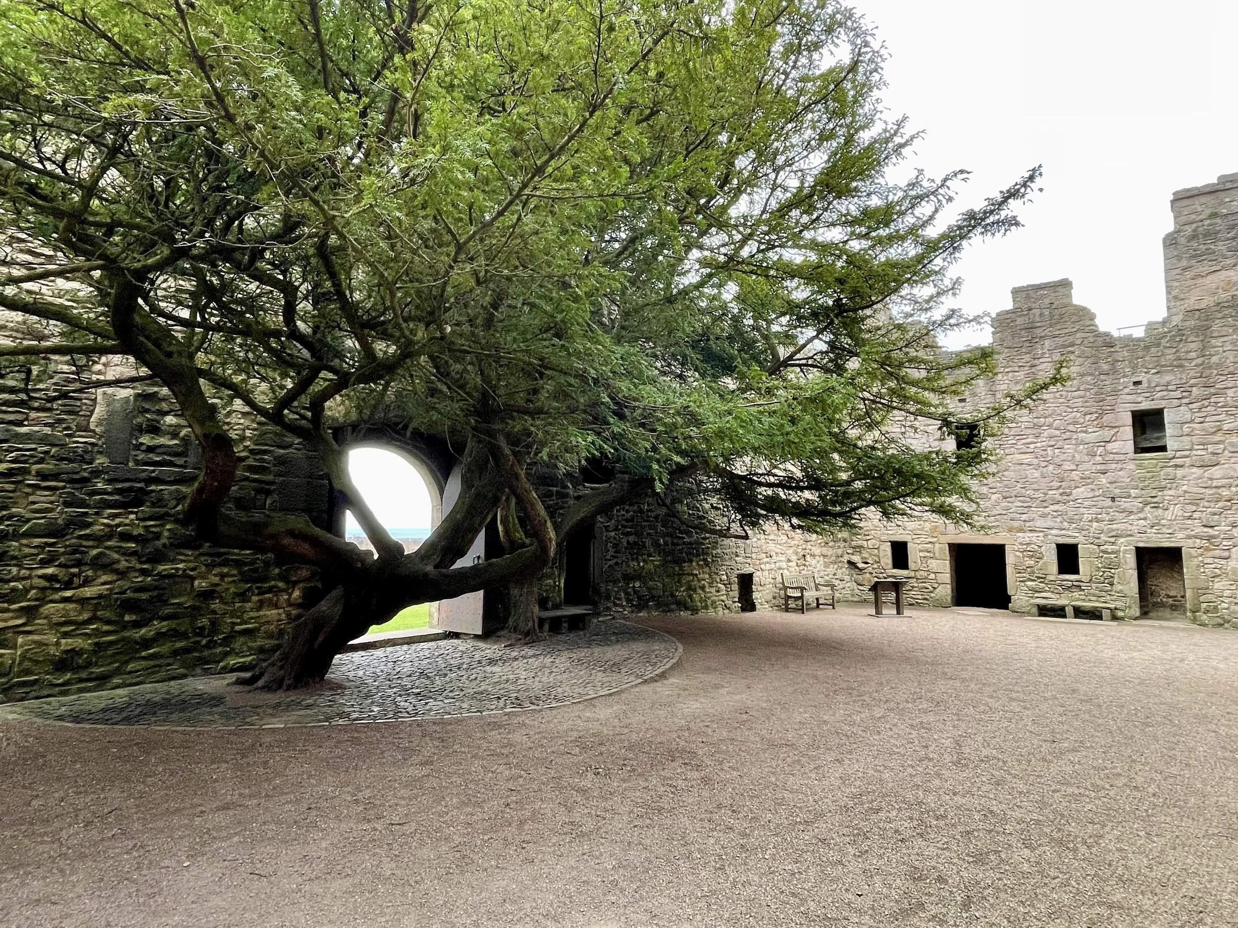 안뜰 (Inner Courtyard)