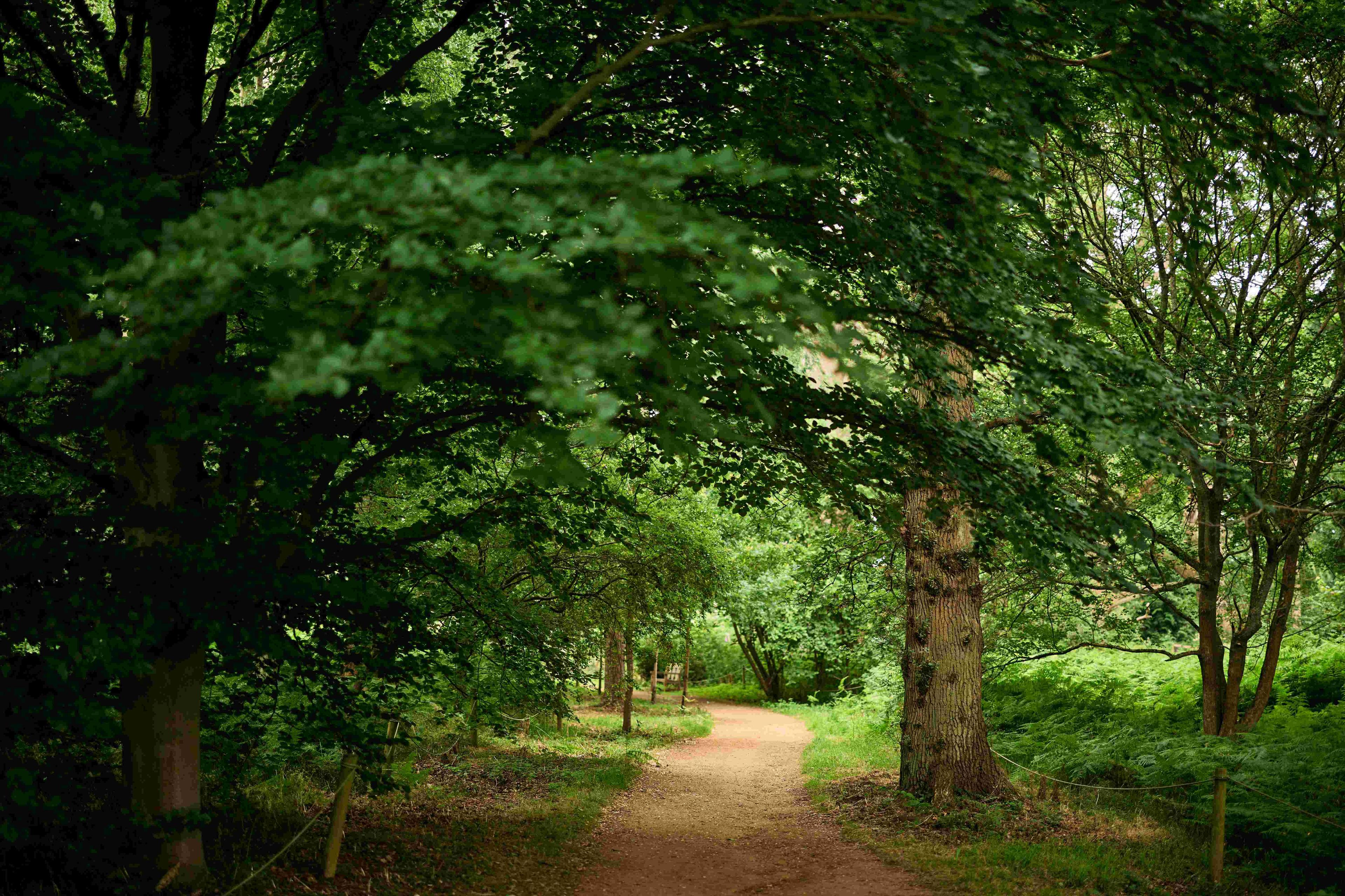 🌳 옥스퍼드 대학교 하코트 수목원 (하코트 아버리텀)