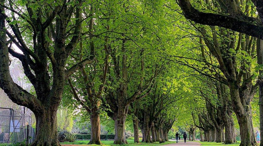 🌳 플로렌스 공원 (Florence Park)