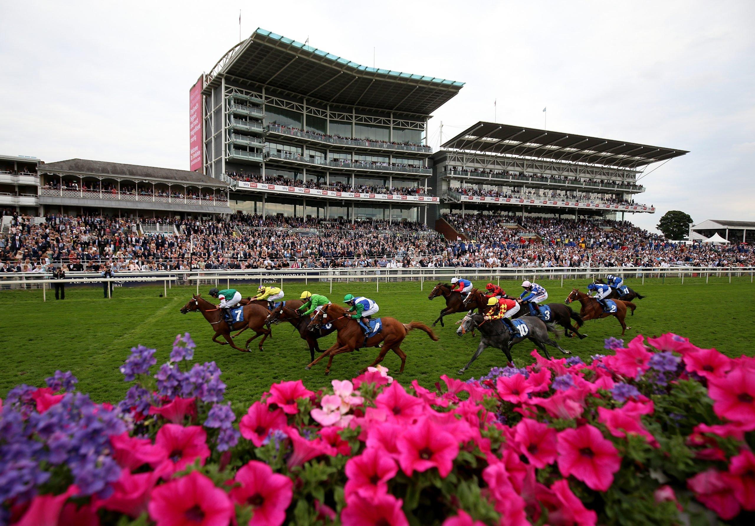 에보르 페스티벌의 경주 장면